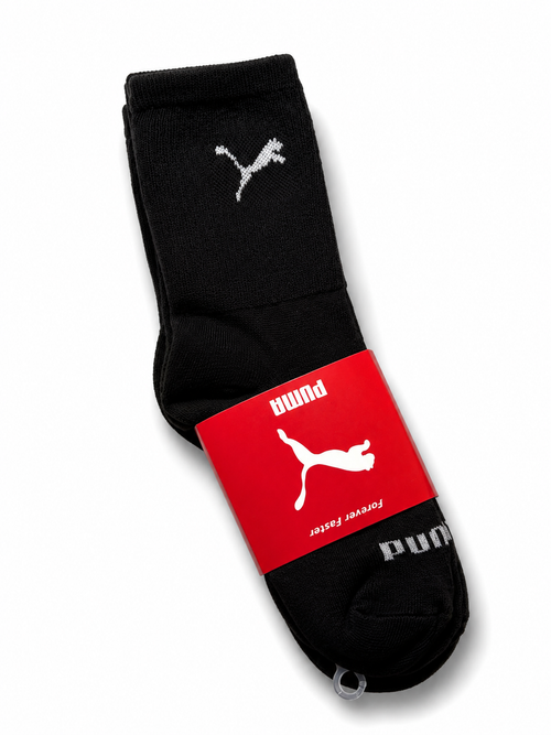 Puma Negra